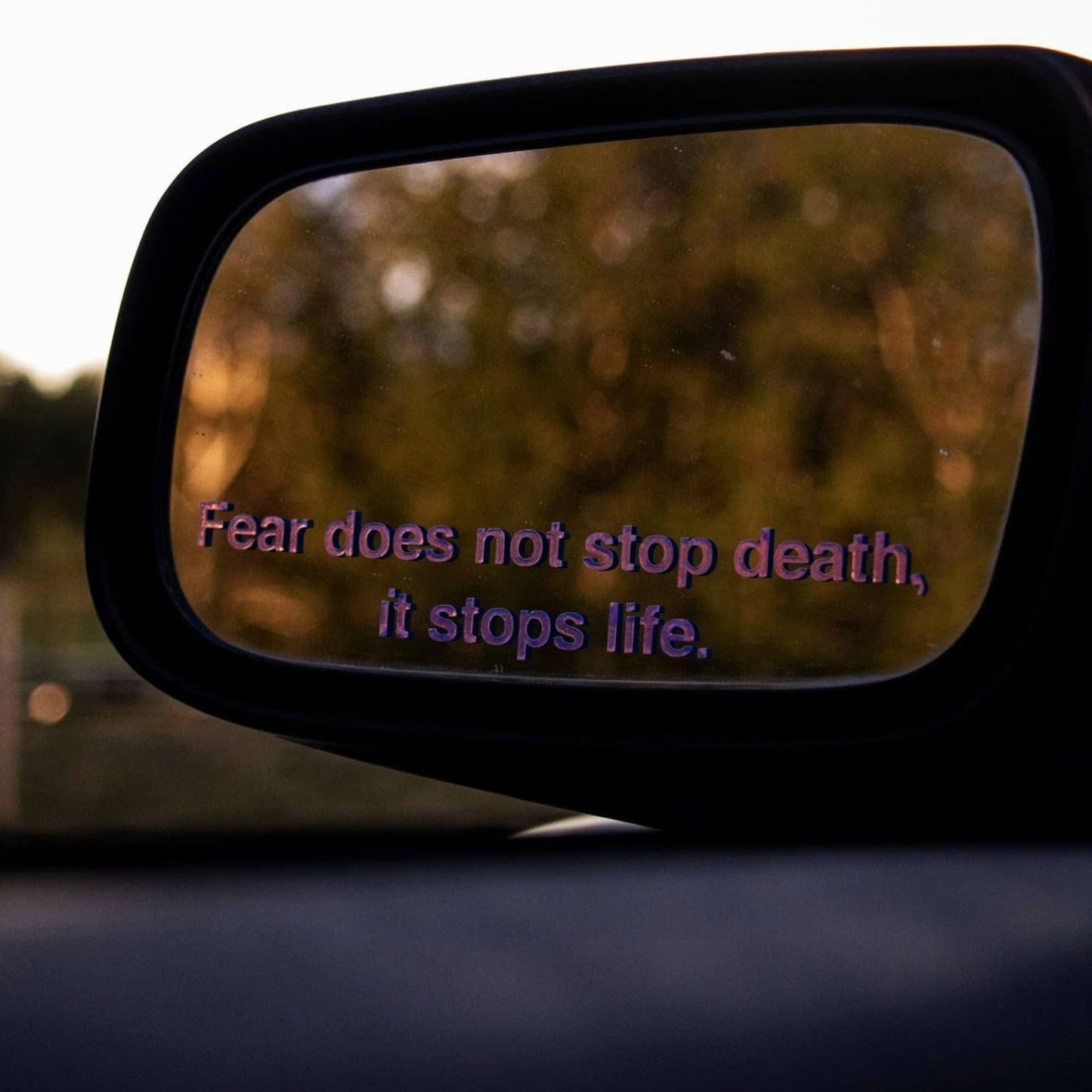 Fear Does Not Stop Death