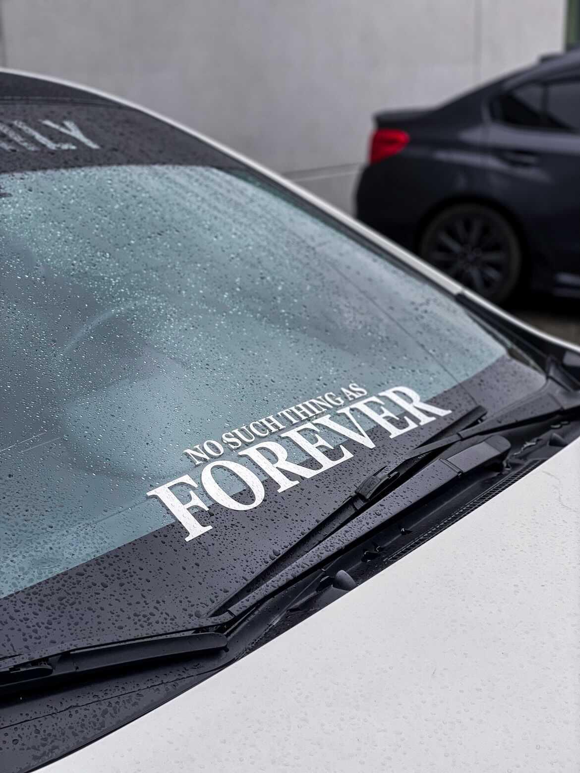 NoSuchThing Original Banner