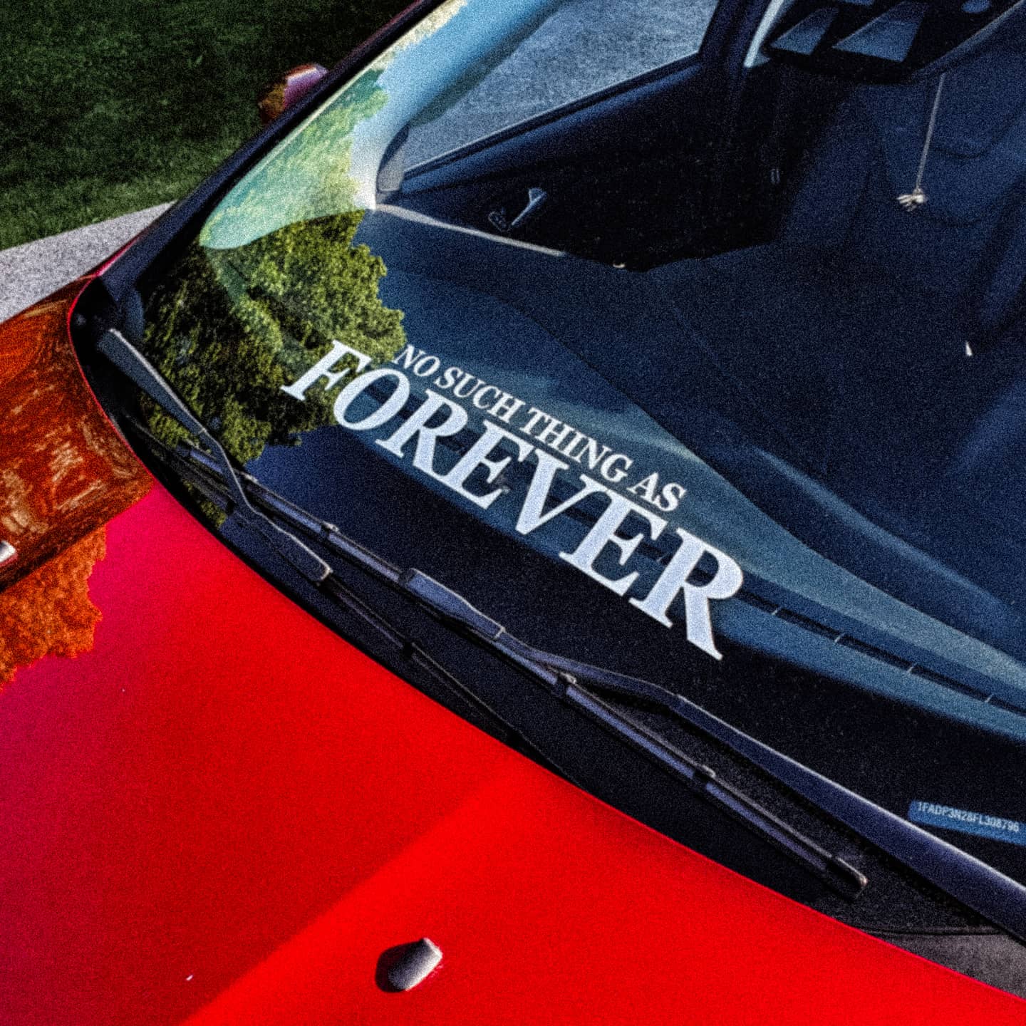 Questionable Decisions – Foreverless