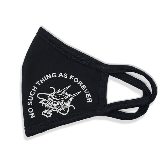 Dragon Face Mask